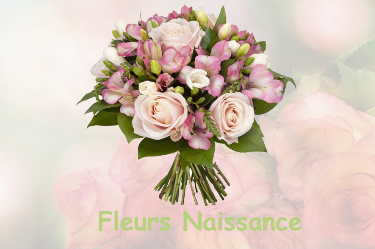 fleurs naissance MONTIGNY-SUR-AUBE